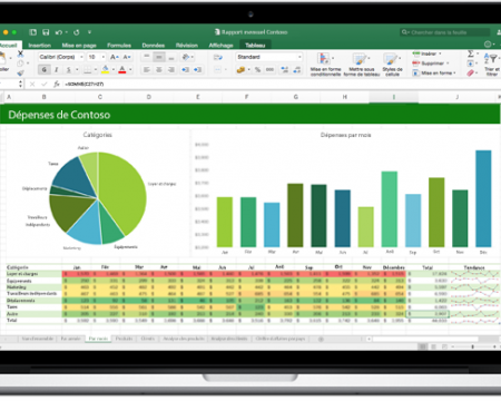 Formation excel Initiation pour la société IECF Peser